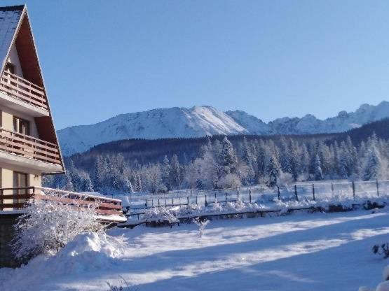 Willa Marysienka Zakopane Exteriér fotografie